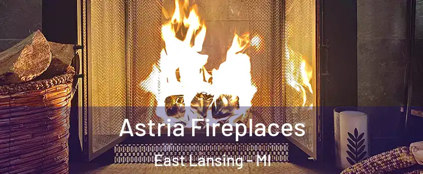  Astria Fireplaces East Lansing - MI