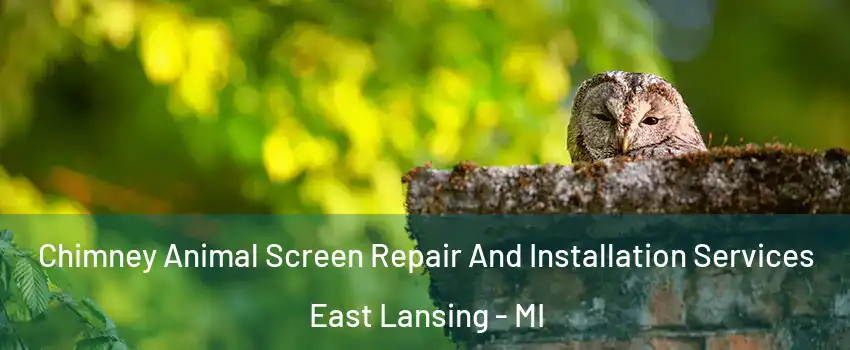  Chimney Animal Screen Repair And Installation Services East Lansing - MI