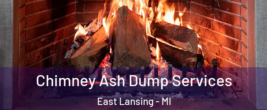  Chimney Ash Dump Services East Lansing - MI