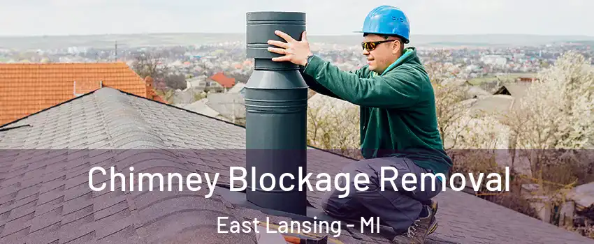  Chimney Blockage Removal East Lansing - MI