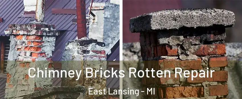  Chimney Bricks Rotten Repair East Lansing - MI