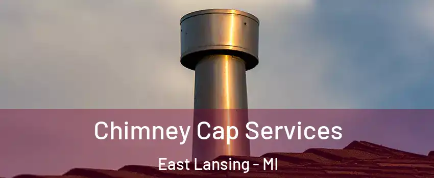  Chimney Cap Services East Lansing - MI
