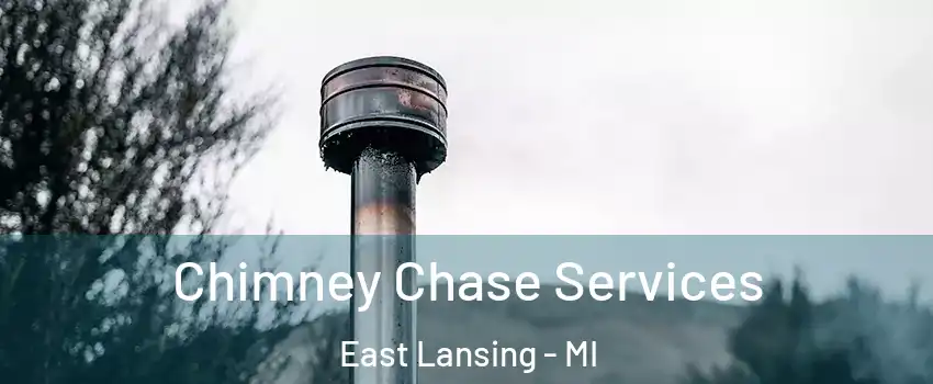  Chimney Chase Services East Lansing - MI