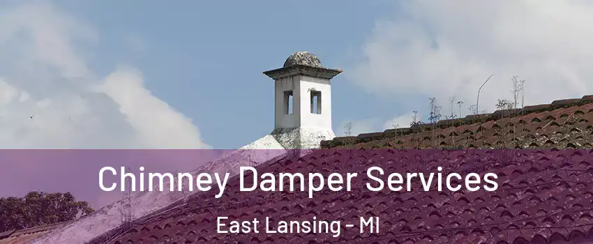  Chimney Damper Services East Lansing - MI