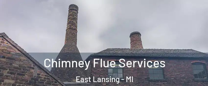  Chimney Flue Services East Lansing - MI
