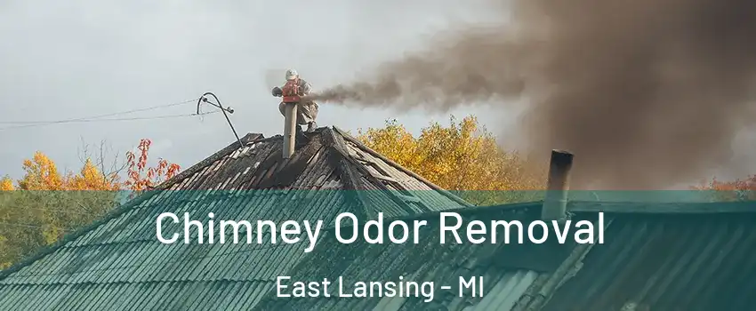  Chimney Odor Removal East Lansing - MI