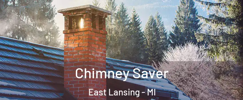  Chimney Saver East Lansing - MI