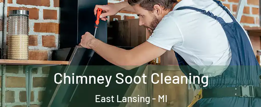  Chimney Soot Cleaning East Lansing - MI
