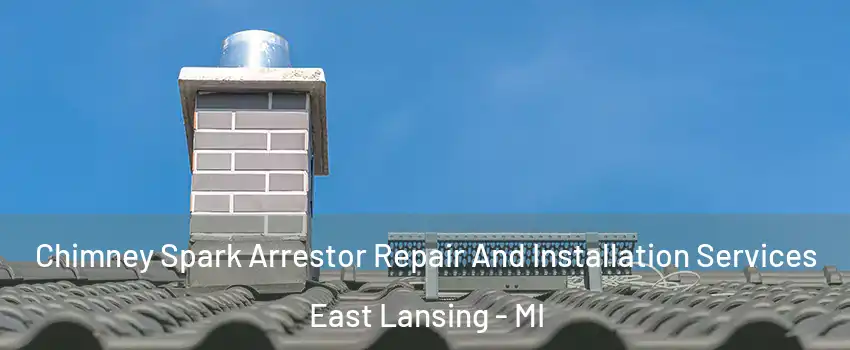  Chimney Spark Arrestor Repair And Installation Services East Lansing - MI