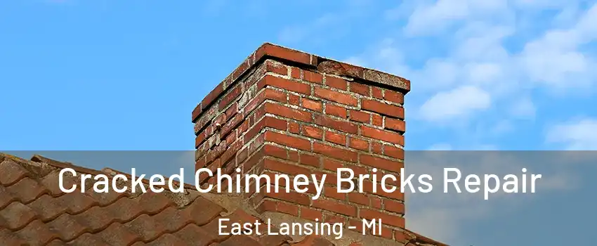  Cracked Chimney Bricks Repair East Lansing - MI