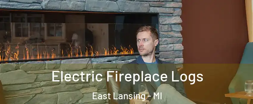  Electric Fireplace Logs East Lansing - MI