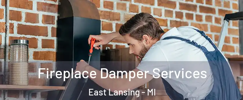  Fireplace Damper Services East Lansing - MI