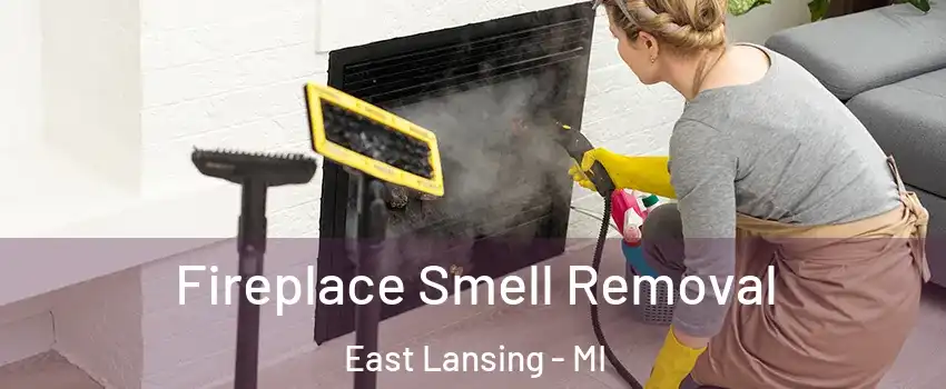  Fireplace Smell Removal East Lansing - MI