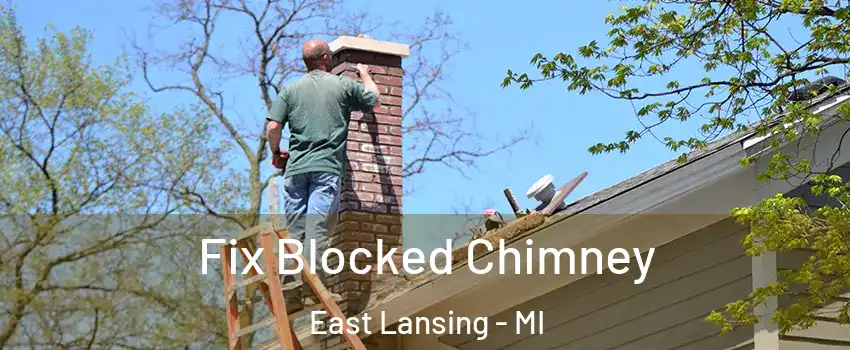  Fix Blocked Chimney East Lansing - MI