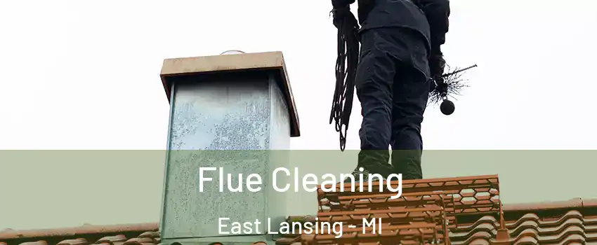  Flue Cleaning East Lansing - MI