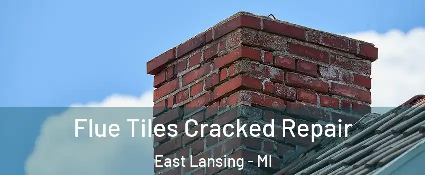  Flue Tiles Cracked Repair East Lansing - MI