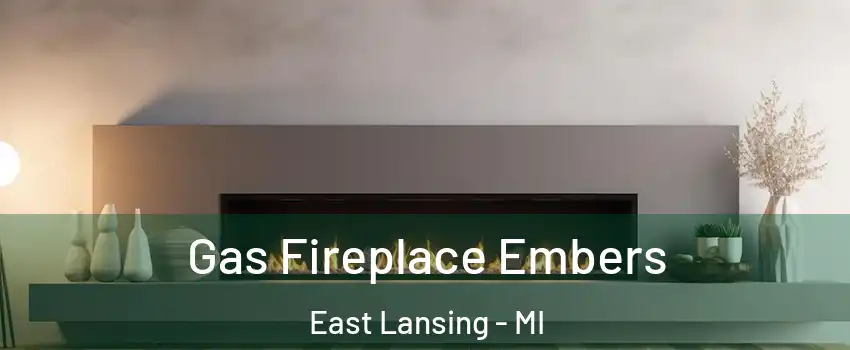  Gas Fireplace Embers East Lansing - MI