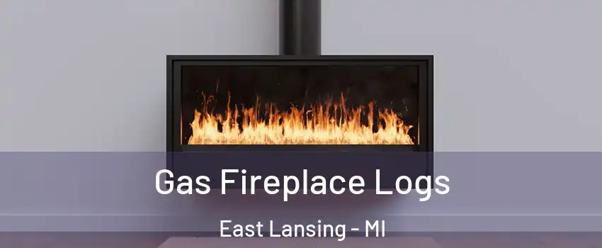  Gas Fireplace Logs East Lansing - MI