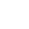 Professional Chimney Flue Installation in East Lansing, Michigan