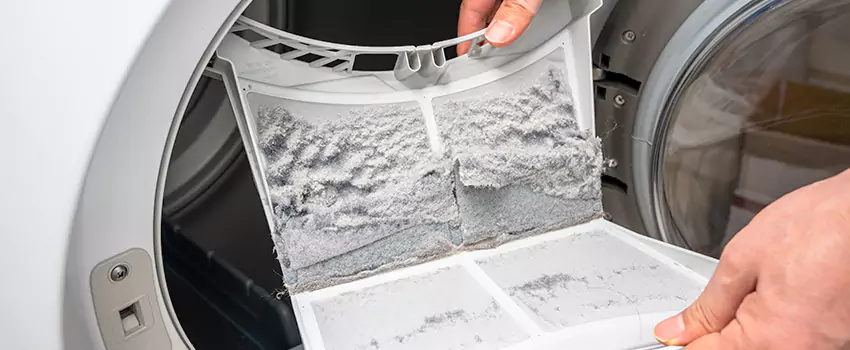Best Dryer Lint Removal Company in East Lansing, Michigan