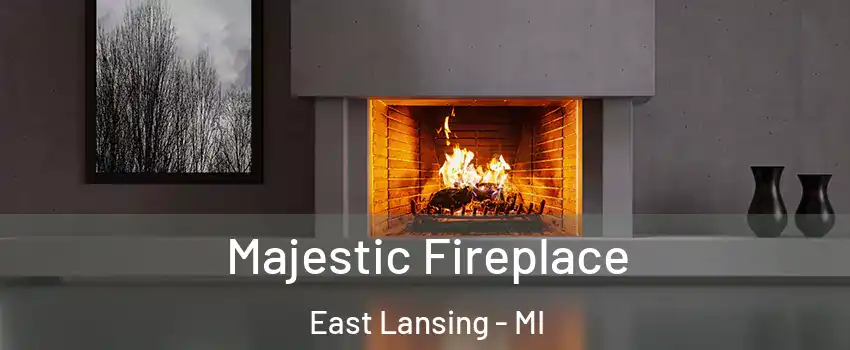  Majestic Fireplace East Lansing - MI