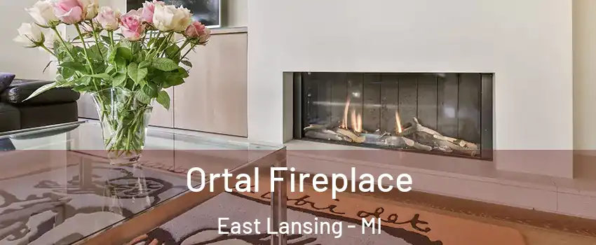 Ortal Fireplace East Lansing - MI